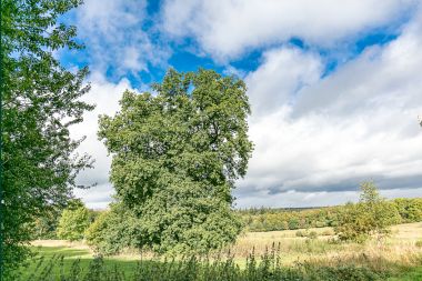 Holiday cottage in Spa for 14 persons in the Ardennes