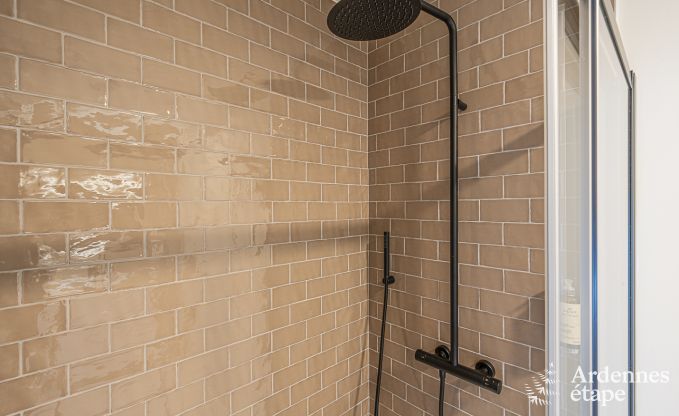 Luxury villa in Spa for 18 persons in the Ardennes