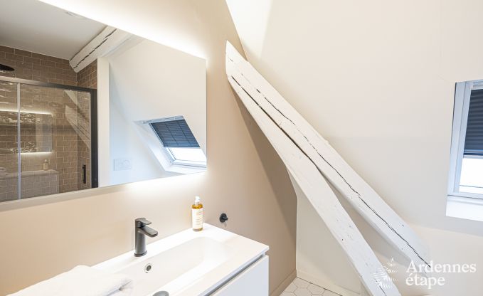 Luxury villa in Spa for 18 persons in the Ardennes