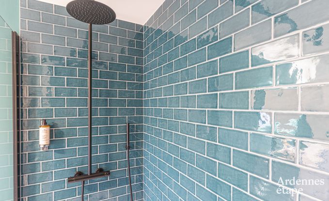 Luxury villa in Spa for 18 persons in the Ardennes