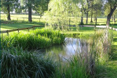 Holiday cottage in Sprimont for 20 persons in the Ardennes