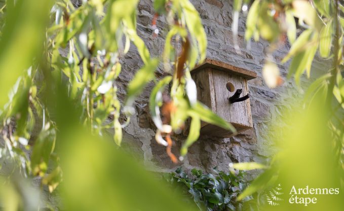 Holiday cottage in Sprimont for 2/4 persons in the Ardennes