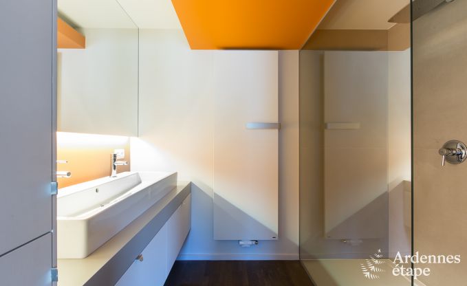 Luxury villa in St Vith for 14 persons in the Ardennes