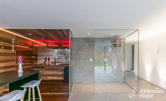 Luxury villa in St Vith for 14 persons in the Ardennes