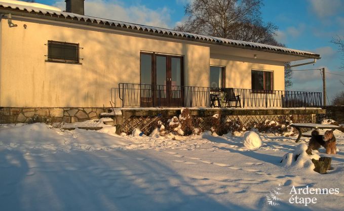Cosy holiday cabin for 3 persons to rent in Stavelot, dogs allowed