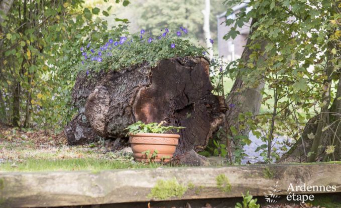 Holiday cottage in Stavelot for 4 persons in the Ardennes