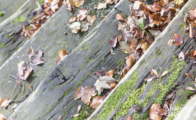 Holiday cottage in Stavelot for 4 persons in the Ardennes