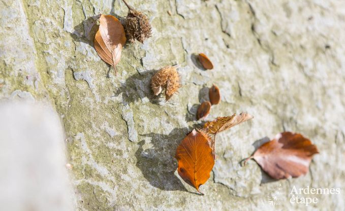 Holiday cottage in Stavelot for 4 persons in the Ardennes