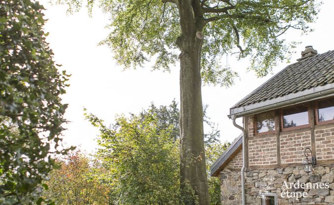 Holiday cottage in Stavelot for 4 persons in the Ardennes