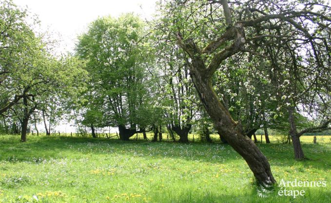 Holiday cottage in Stavelot for 15/18 persons in the Ardennes