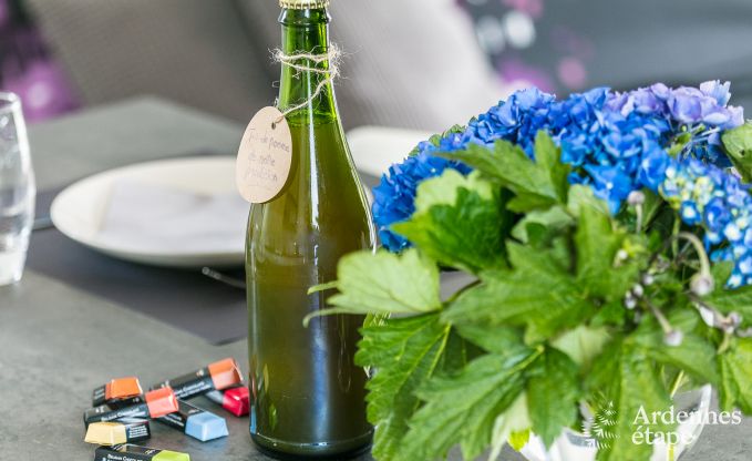 Holiday home in Stoumont for 2/3 persons in the Ardennes