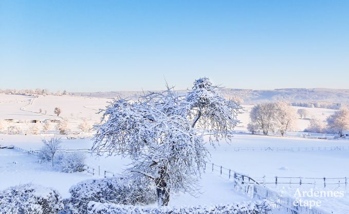 Holiday cottage in Stoumont for 4 persons in the Ardennes