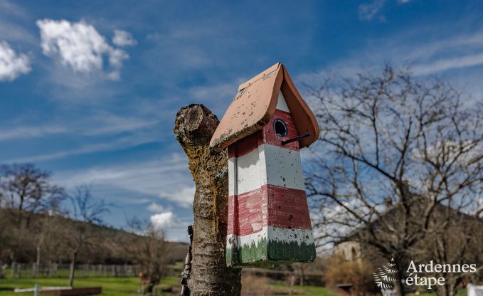 Holiday cottage in Stoumont for 6 persons in the Ardennes