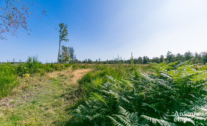 Rental house for 6 people in Stoumont, Ardennes, 3 bedrooms, private garden, terrace with barbecue, optimal comfort
