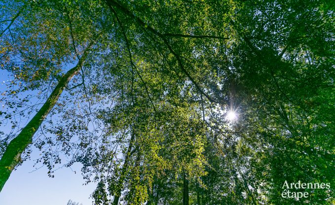 Rental house for 6 people in Stoumont, Ardennes, 3 bedrooms, private garden, terrace with barbecue, optimal comfort