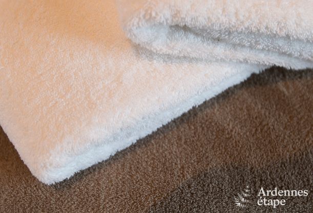 Holiday cottage in Tenneville for 8 persons in the Ardennes