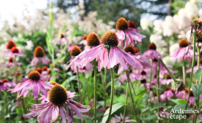 Holiday cottage in Theux (Spa) for 2 persons in the Ardennes