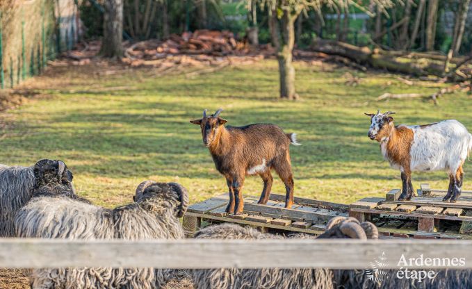 Holiday cottage in Theux for 8 persons in the Ardennes