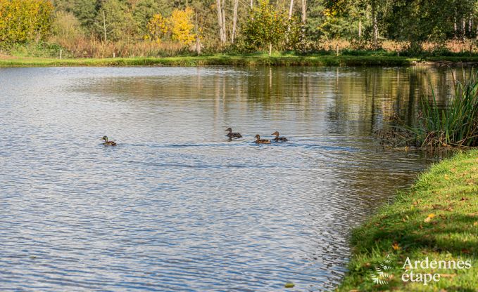 Spacious chalet for 8 people in Trois-Ponts with indoor-outdoor pool, sauna and private terrace by the water