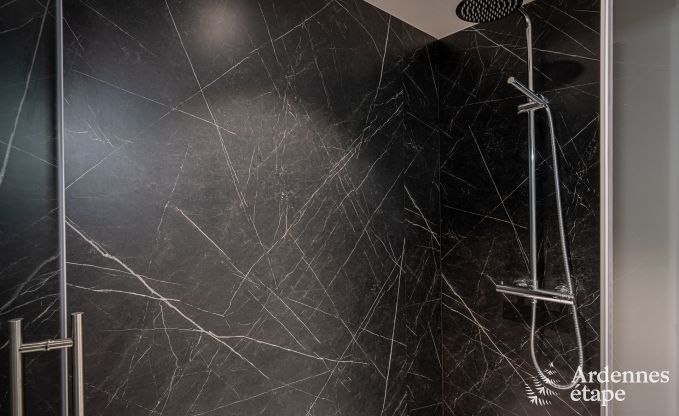 Spacious chalet for 8 people in Trois-Ponts with indoor-outdoor pool, sauna and private terrace by the water