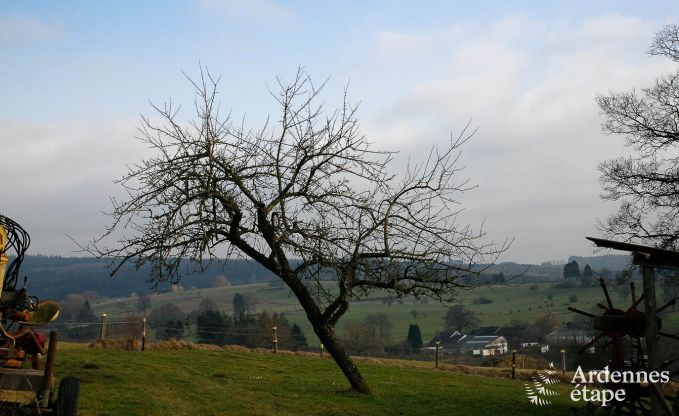 Holiday cottage in Trois-Ponts for 2/4 persons in the Ardennes