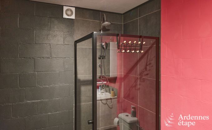 Holiday home in Trois-Ponts for 8 people with sauna, playroom and private garden