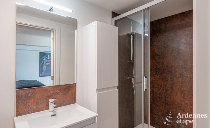 Spacious luxurious loft in Trois-Ponts for 5 people with 2 bedrooms, 2 bathrooms, jacuzzi, and private terrace