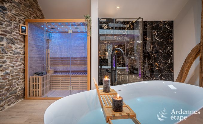 Charming holiday suite with sauna in Trois-Ponts
