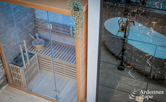 Charming holiday suite with sauna in Trois-Ponts