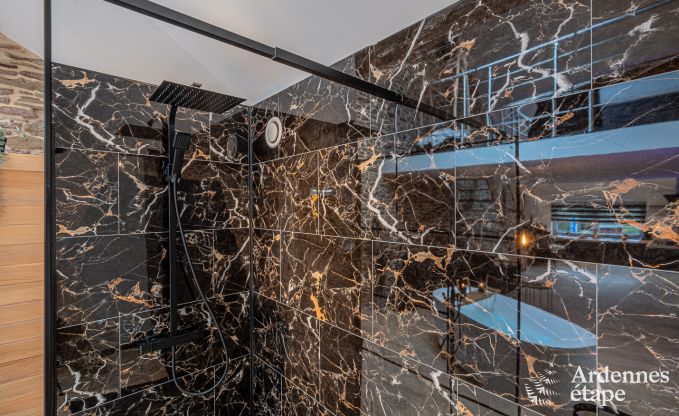 Charming holiday suite with sauna in Trois-Ponts