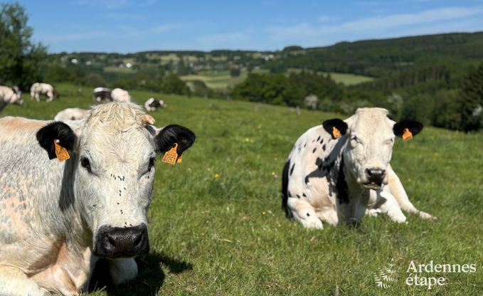 Renovated old barn for 10 people on the C�tes de Wanne