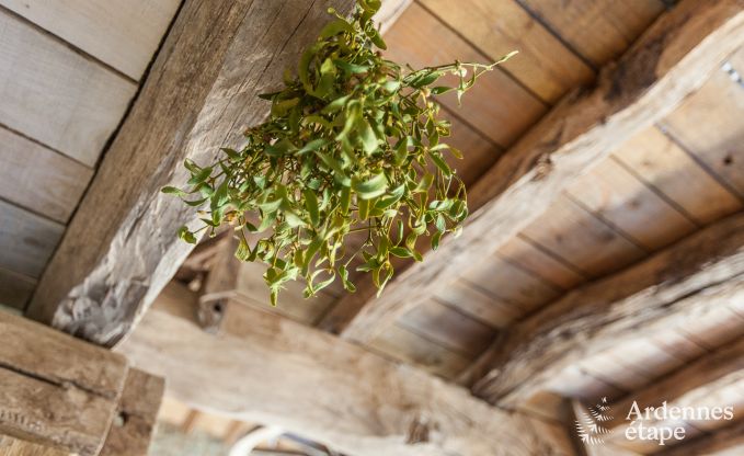 Holiday cottage in Trois-Ponts for 8 persons in the Ardennes