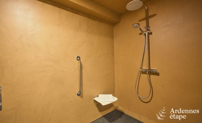 Spacious and luxurious holiday home with swimming pool in Trois-Ponts, Ardennes