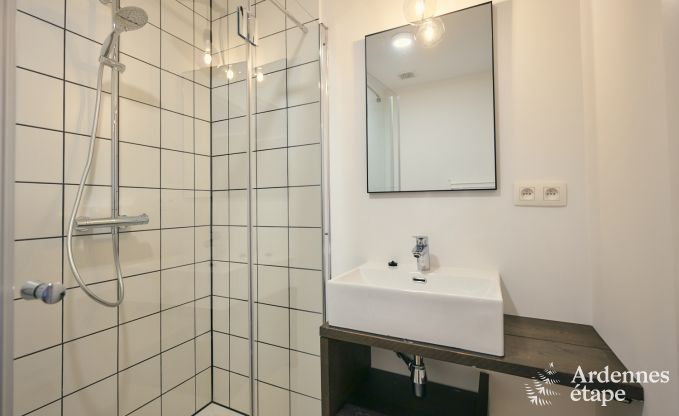 Spacious and luxurious holiday home with swimming pool in Trois-Ponts, Ardennes