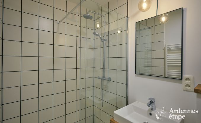 Spacious and luxurious holiday home with swimming pool in Trois-Ponts, Ardennes