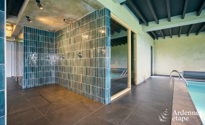 Spacious and luxurious holiday home with swimming pool in Trois-Ponts, Ardennes