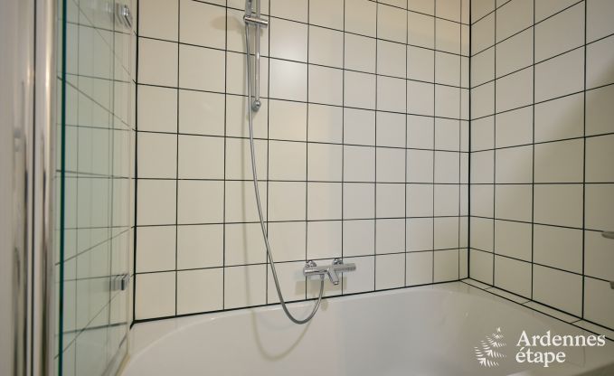 Spacious and luxurious holiday home with swimming pool in Trois-Ponts, Ardennes