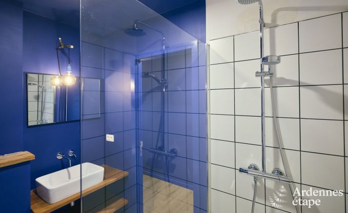 Spacious and luxurious holiday home with swimming pool in Trois-Ponts, Ardennes