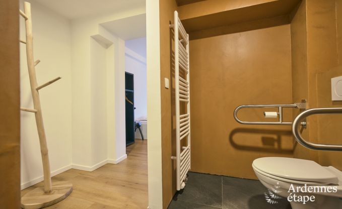 Spacious and luxurious holiday home with swimming pool in Trois-Ponts, Ardennes