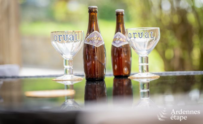 Unique holiday home with 2 bedrooms in Vaux-sur-Sure