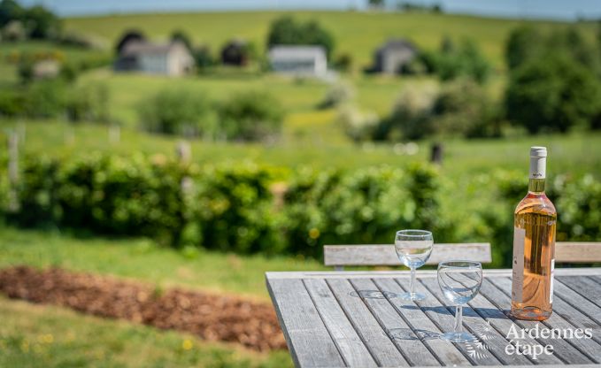 Exceptional in Vaux-sur-Sure for 2/4 persons in the Ardennes