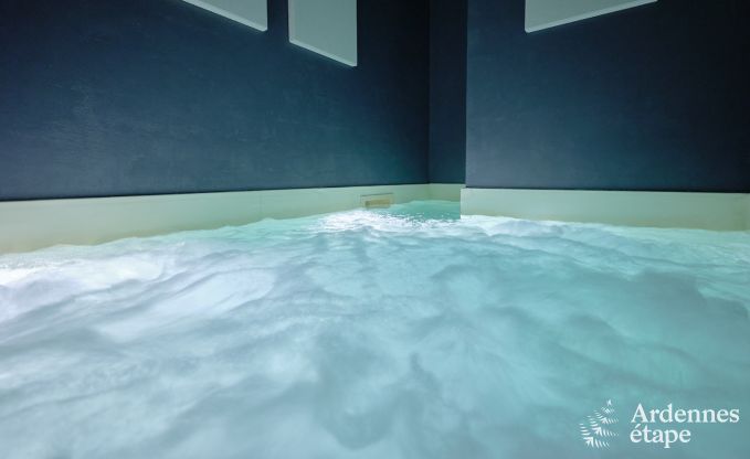 Luxury gte with private wellness centre in Vaux-sur-Sre: sauna, jacuzzi, hammam and relaxation area just for you