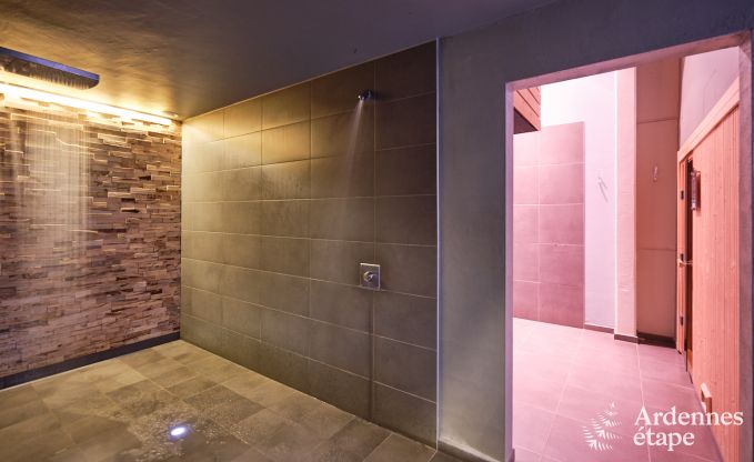 Luxury gte with private wellness centre in Vaux-sur-Sre: sauna, jacuzzi, hammam and relaxation area just for you