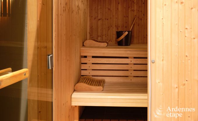 Luxury gte with private wellness centre in Vaux-sur-Sre: sauna, jacuzzi, hammam and relaxation area just for you