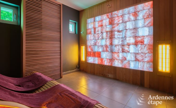 Luxury gte with private wellness centre in Vaux-sur-Sre: sauna, jacuzzi, hammam and relaxation area just for you