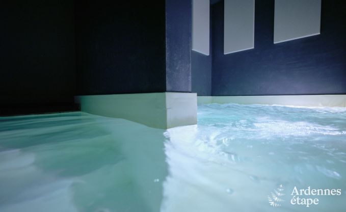 Exceptional gte with superb private wellness centre and swimming pool in Vaux -sur - Sre