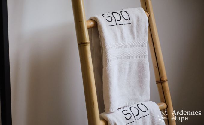 Exceptional gte with superb private wellness centre and swimming pool in Vaux -sur - Sre