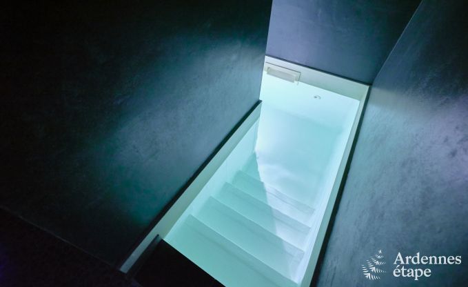 Exceptional gte with superb private wellness centre and swimming pool in Vaux -sur - Sre