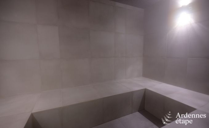 Exceptional gte with superb private wellness centre and swimming pool in Vaux -sur - Sre