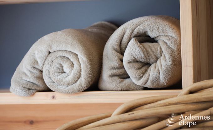 Exceptional gte with superb private wellness centre and swimming pool in Vaux -sur - Sre